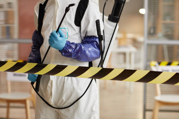Professional Hoarding Cleanup technician working in Hillsborough, NJ